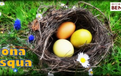 🌸 Buona Pasqua 🐇